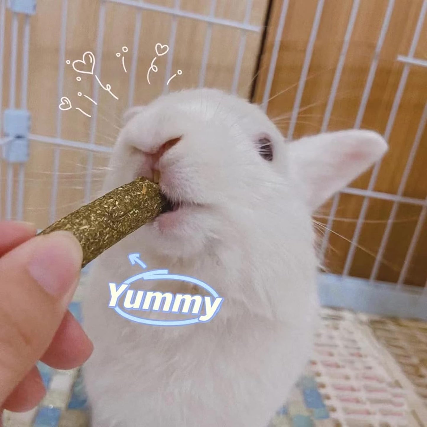 20 PCS Bunny Chew Toys for Teeth, Natural Rabbit Toys Apple Wood Grass Timothy Sticks Chew and Treat for Guinea Pigs Hamster Chinchillas