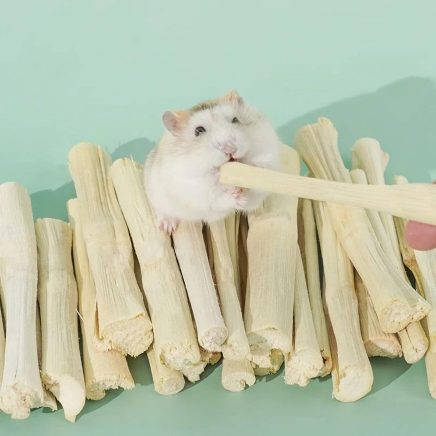 300G Snacks Sweet Bamboo Chew Toy for Rabbits Chew Sticks for Hamster Chinchilla Guinea Pig,Molar Treats Snack for Small Animals