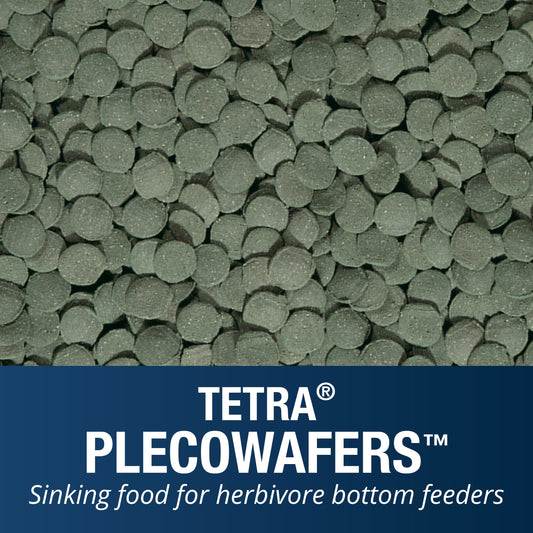 Pleco Wafers for Algae Eating Fish, Sinking Fish Food to Support Digestibility, 6.5 Oz