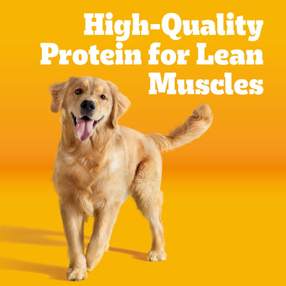 Complete Nutrition Adult Steak & Vegetable Flavor Dry Dog Food