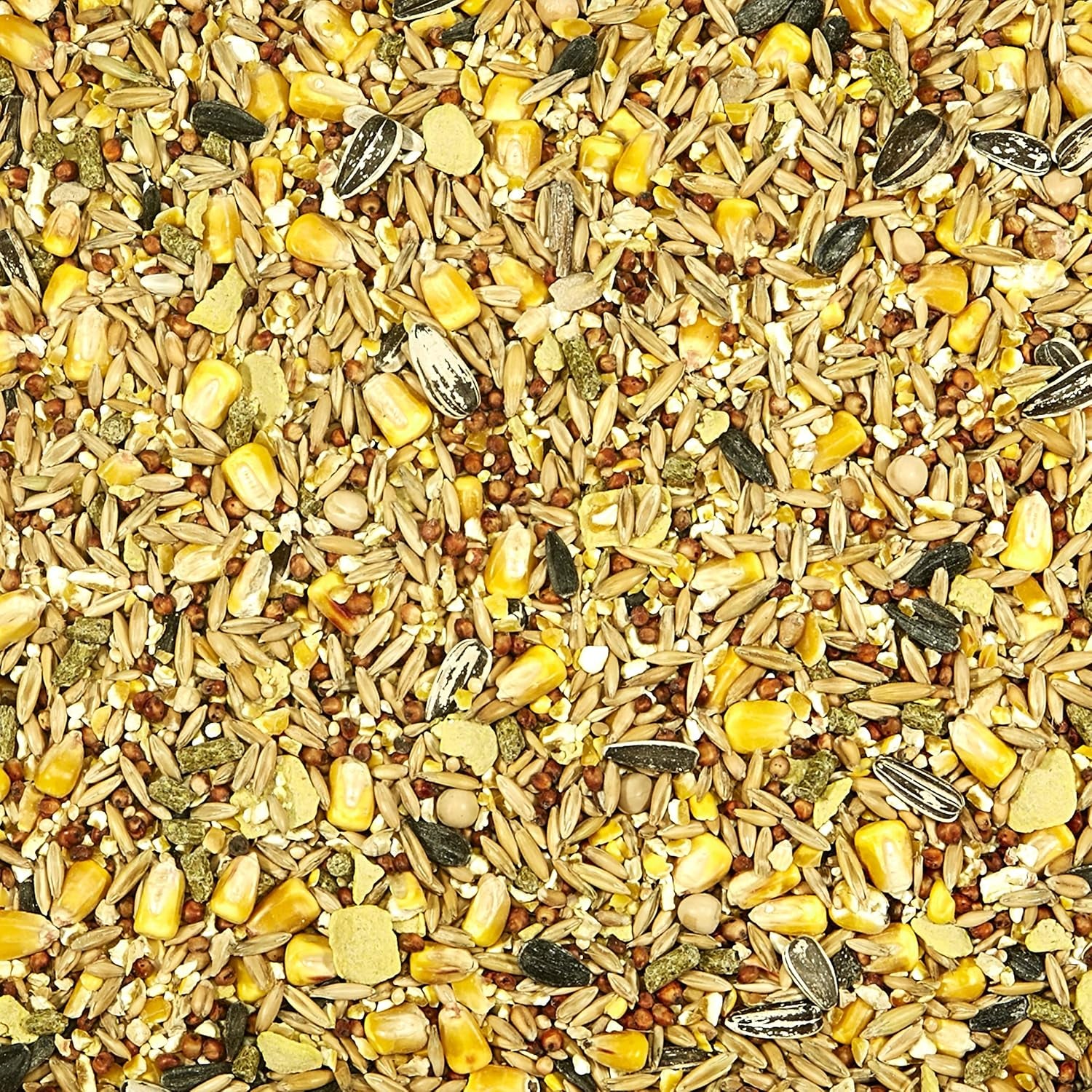 Backyard Wildlife Food Blend for Wild Squirrels, Chipmunks, Rabbits and Other Backyard Wildlife, 5 Pound