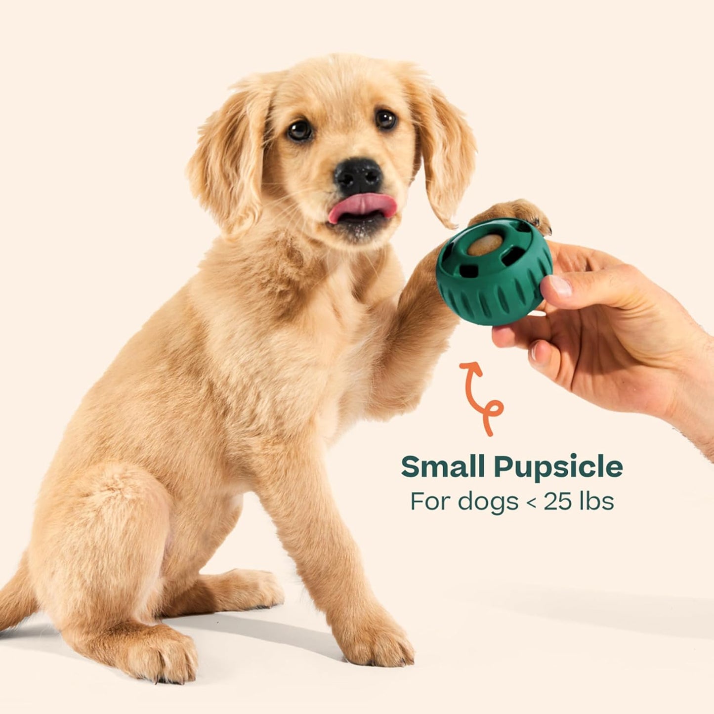 Pupsicle - Long-Lasting Interactive Dog Ball Toy to Keep Your Pup Busy and Distracted - Safe for Dogs - Low-Mess Design - Dog Toys for Medium and Large Dogs 25-75 Lbs