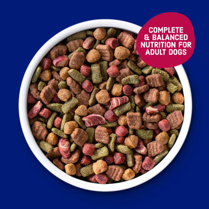 Kibbles 'N Bits Bistro Oven Roasted Beef, Vegetable & Apple Flavors Dry Dog Food