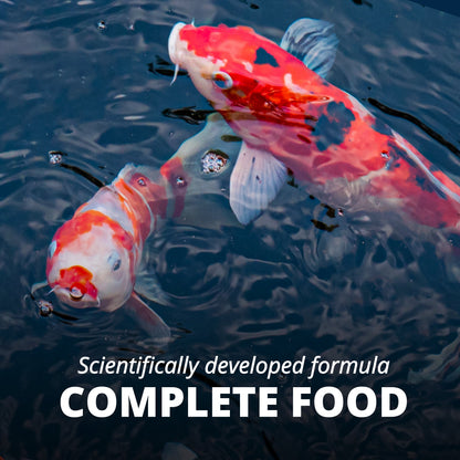 Pond Fish Food Premium Sticks Diet for Koi and Goldfish, 1.25 Lbs