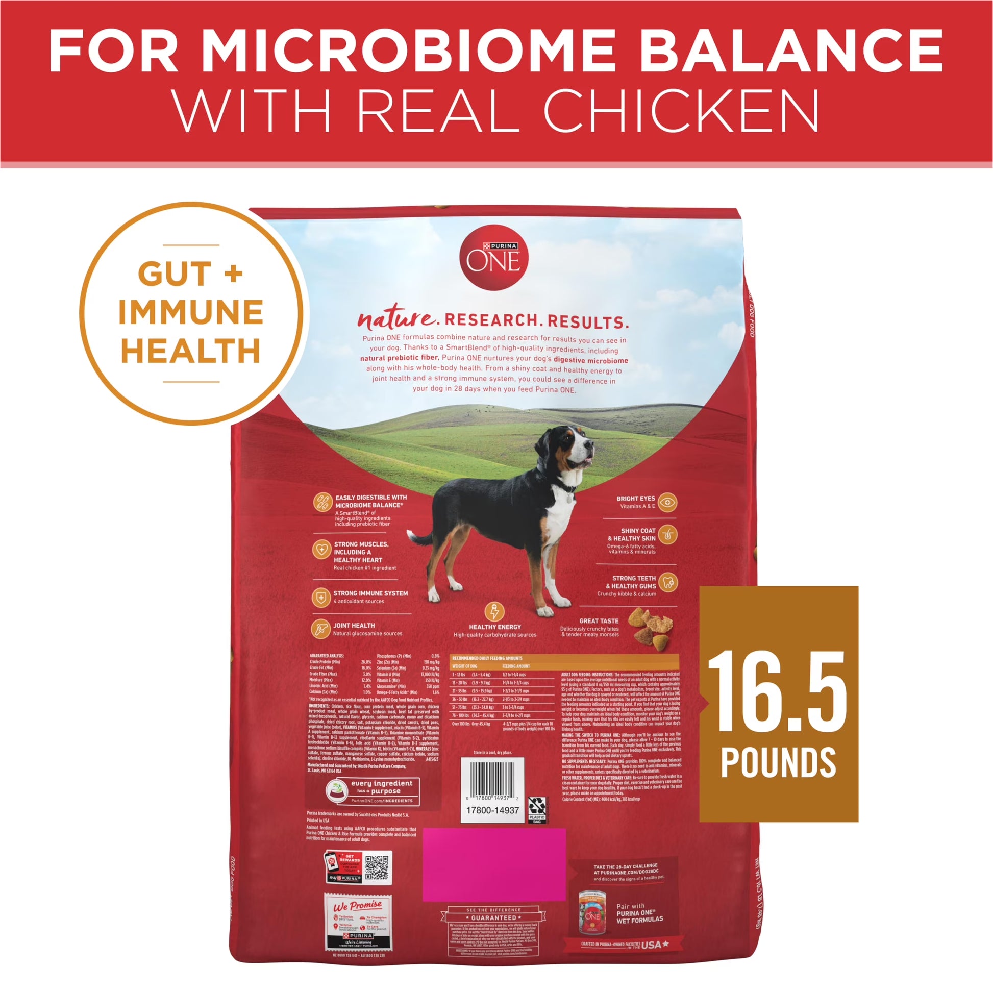 Dry Dog Food for Adult Dogs High Protein, Real Chicken & Rice