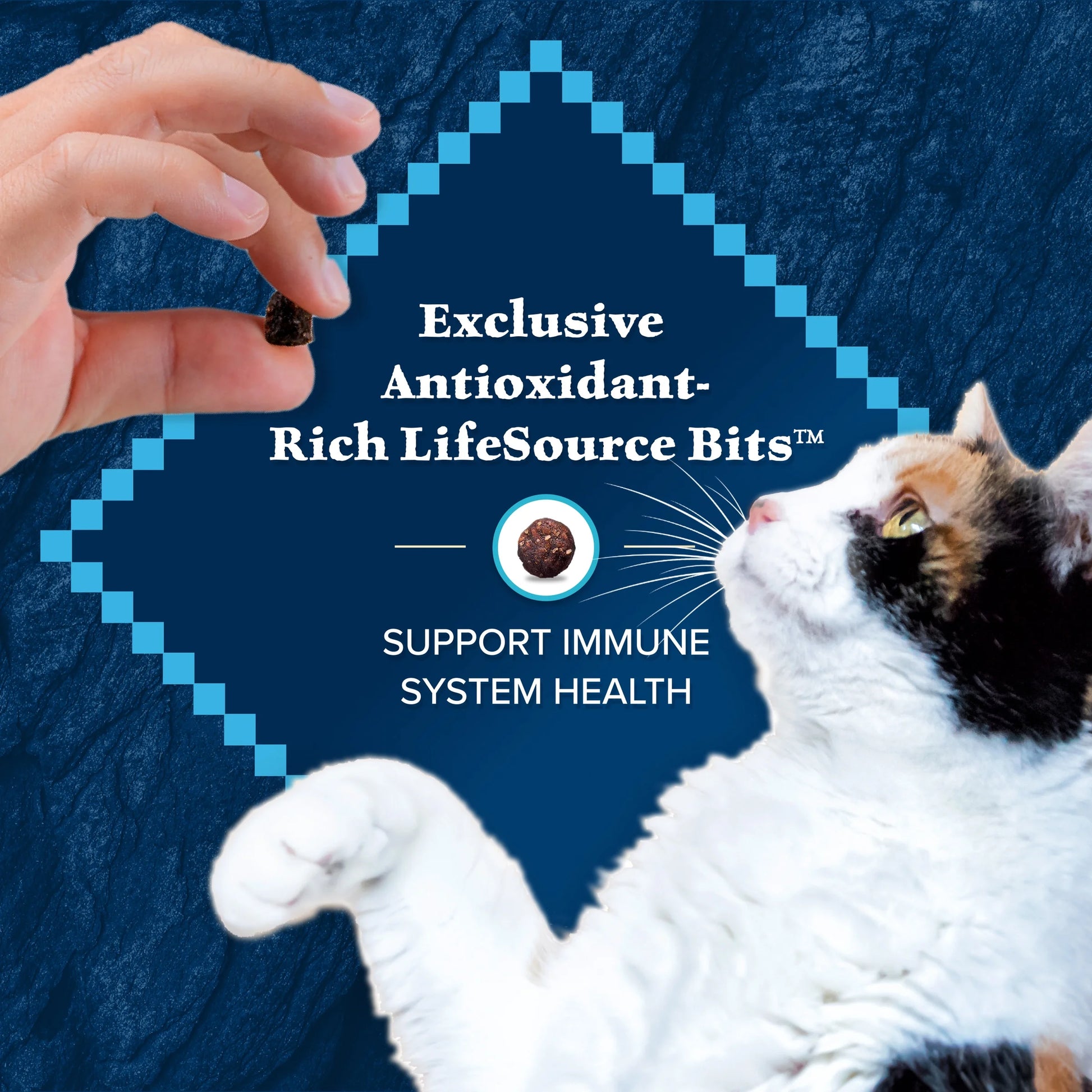Wilderness Natural High-Protein, Grain-Free Dry Cat Food