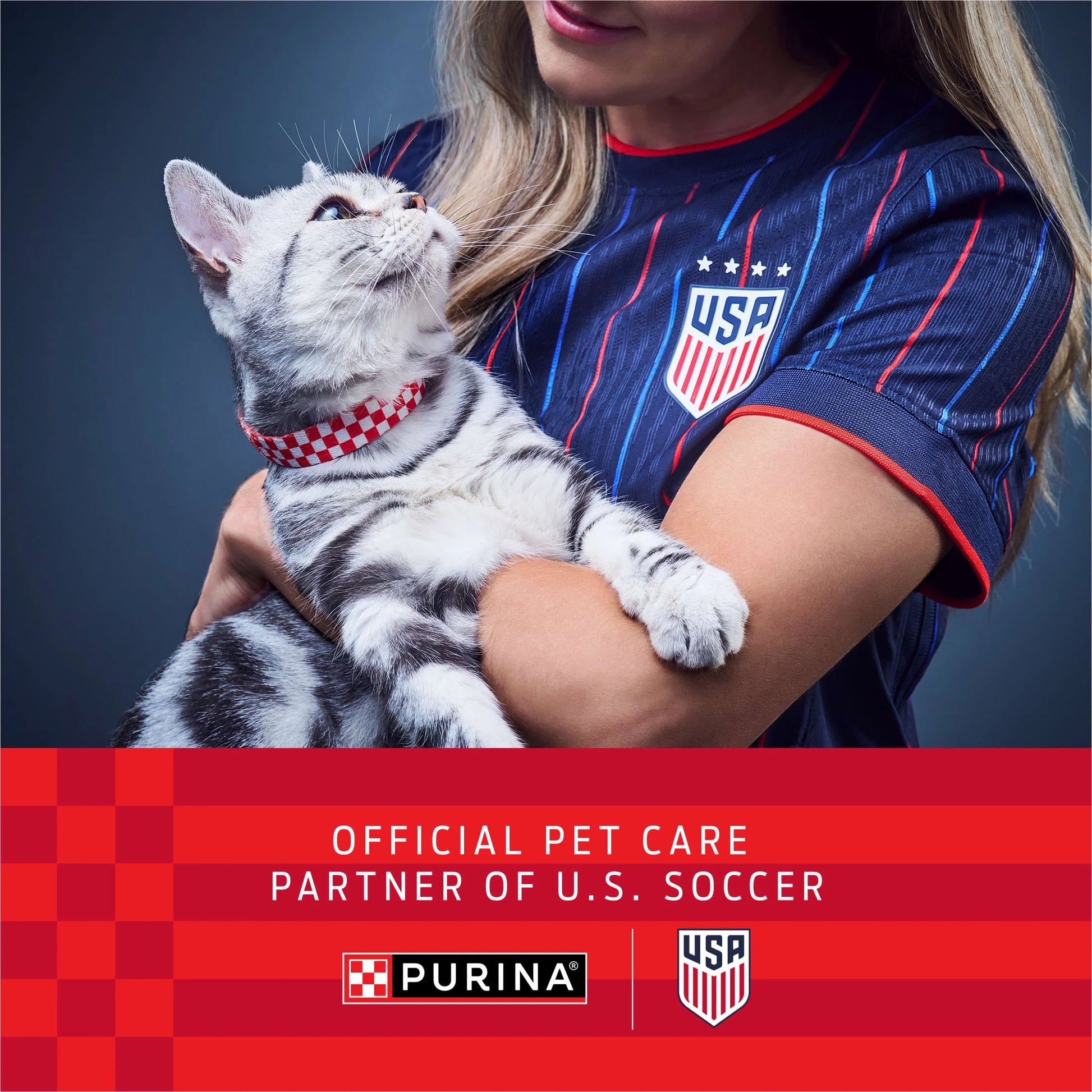Purina  Complete High Protein Dry Cat Food with Real Chicken
