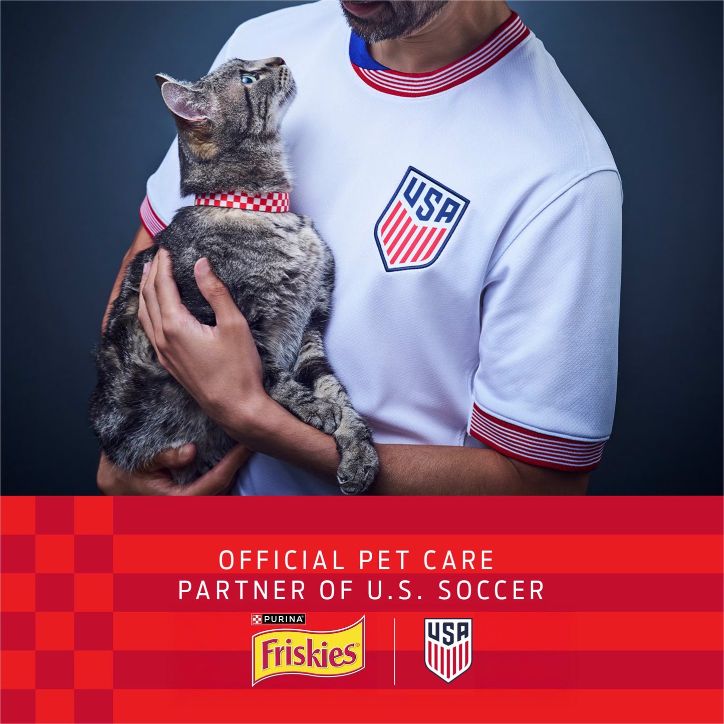 Purina Friskies Surfin and Turfin Favorites Dry Cat Food Flavors of Chicken, Whitefish, Salmon and Filet Mignon