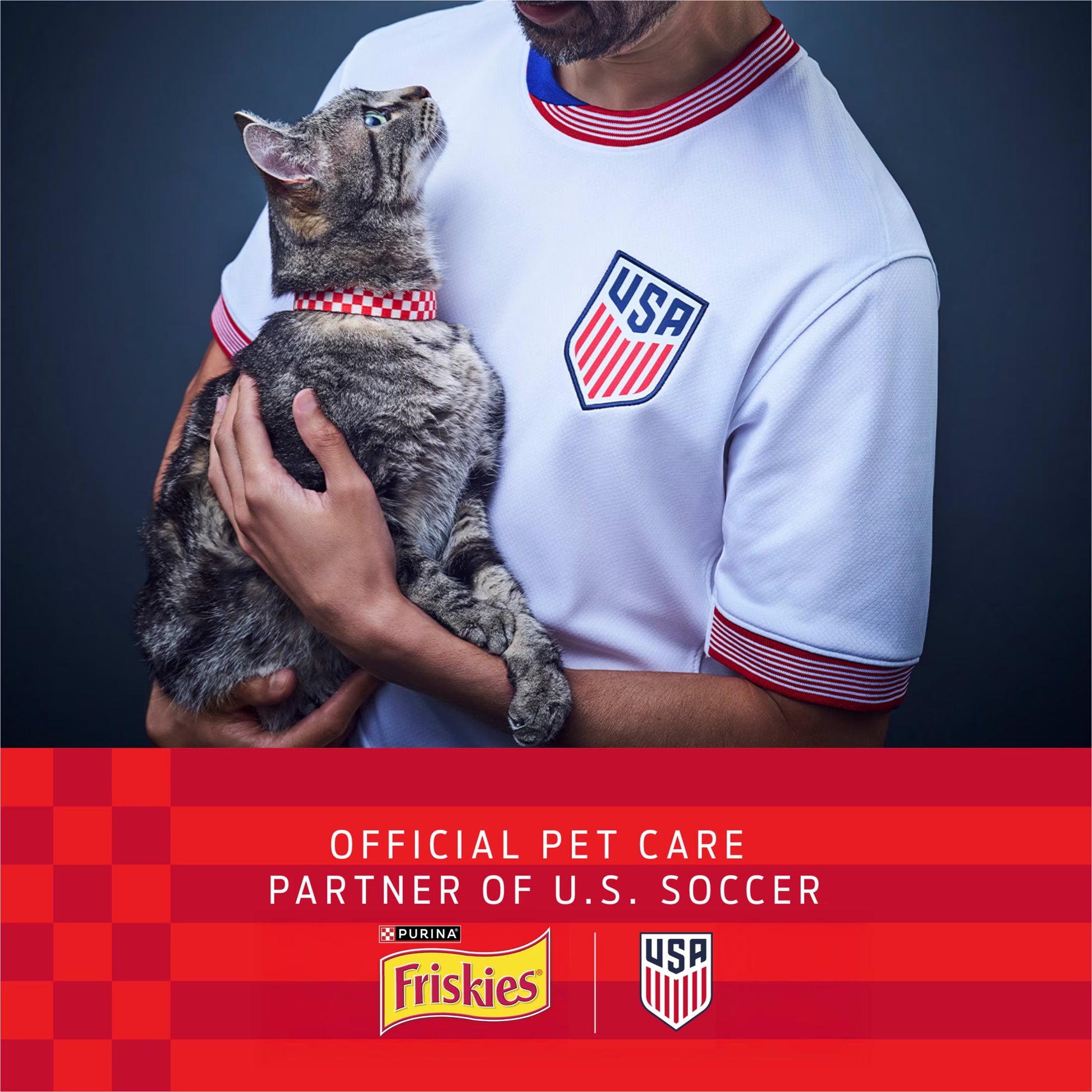 Purina Friskies Surfin and Turfin Favorites Dry Cat Food Flavors of Chicken, Whitefish, Salmon and Filet Mignon
