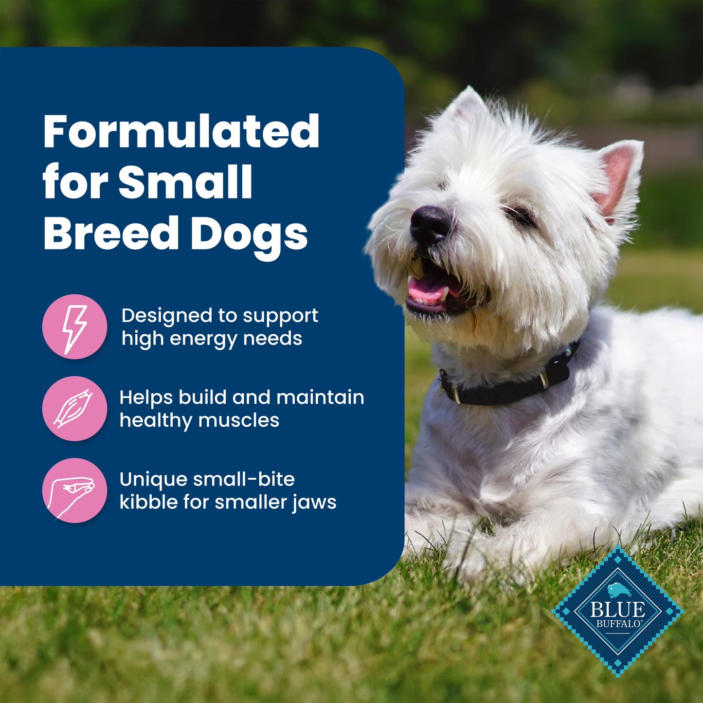 Life Protection Formula Small Breed Dry Dog Food Chicken & Brown Rice