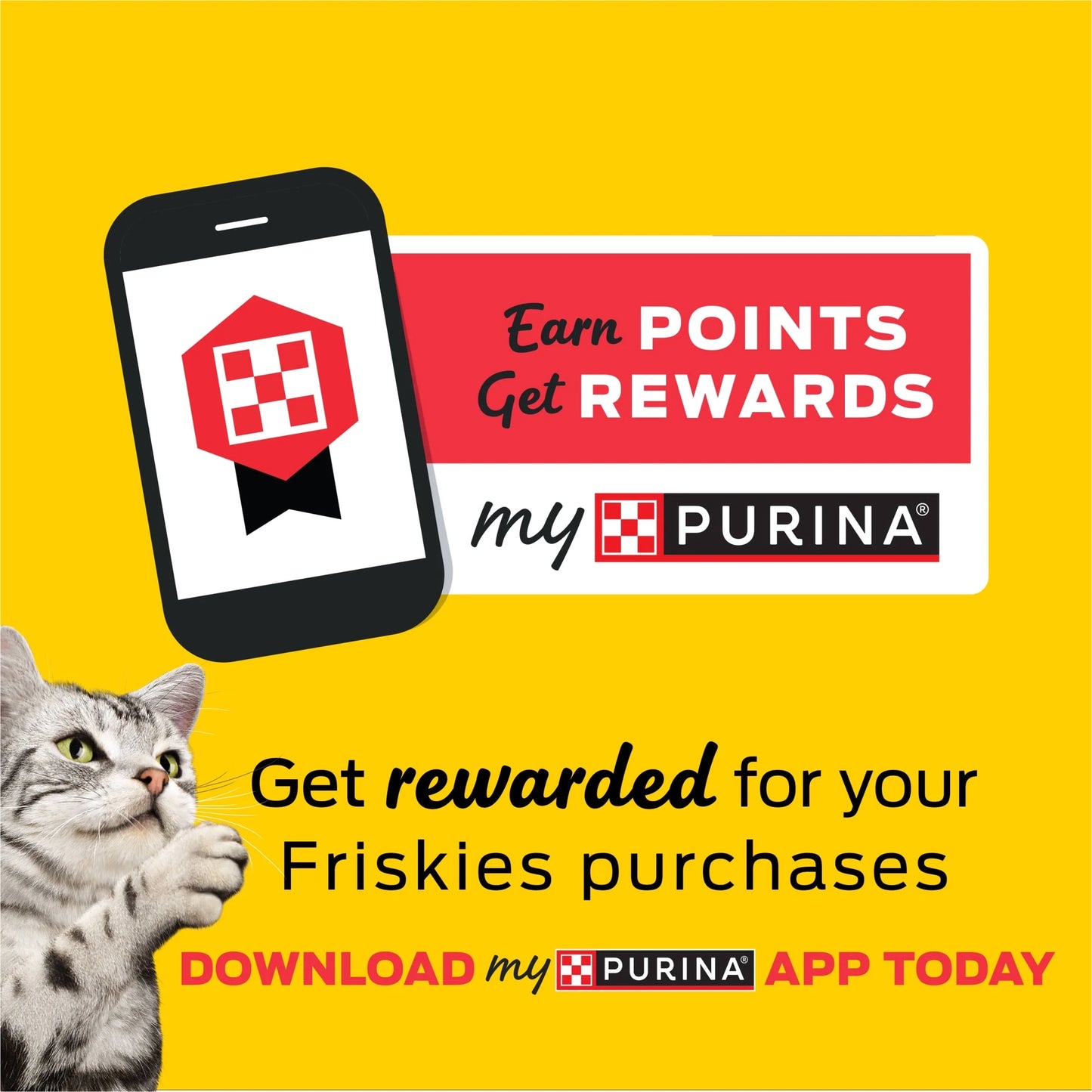 Purina Friskies Surfin and Turfin Favorites Dry Cat Food Flavors of Chicken, Whitefish, Salmon and Filet Mignon