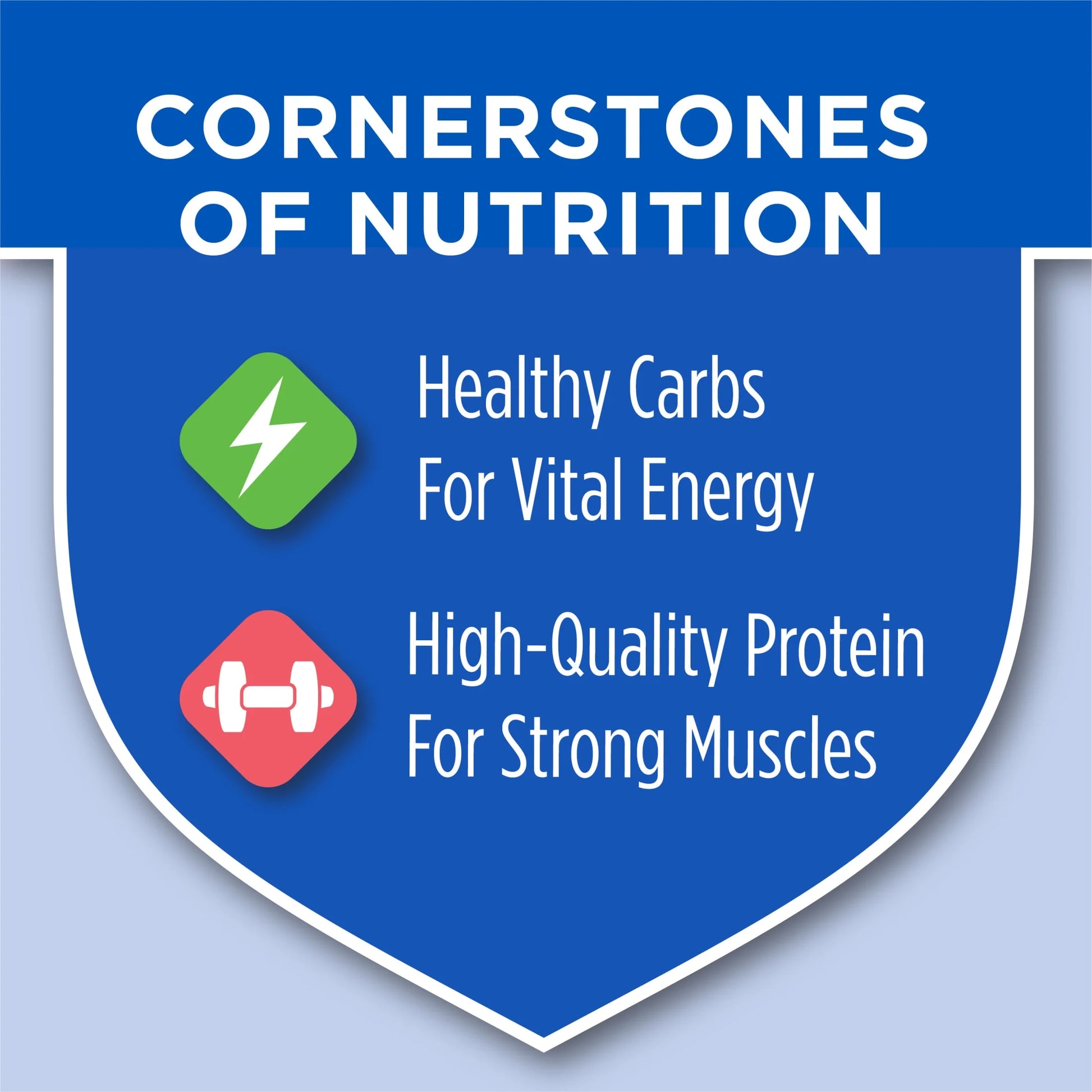 Purina  Complete High Protein Dry Cat Food with Real Chicken