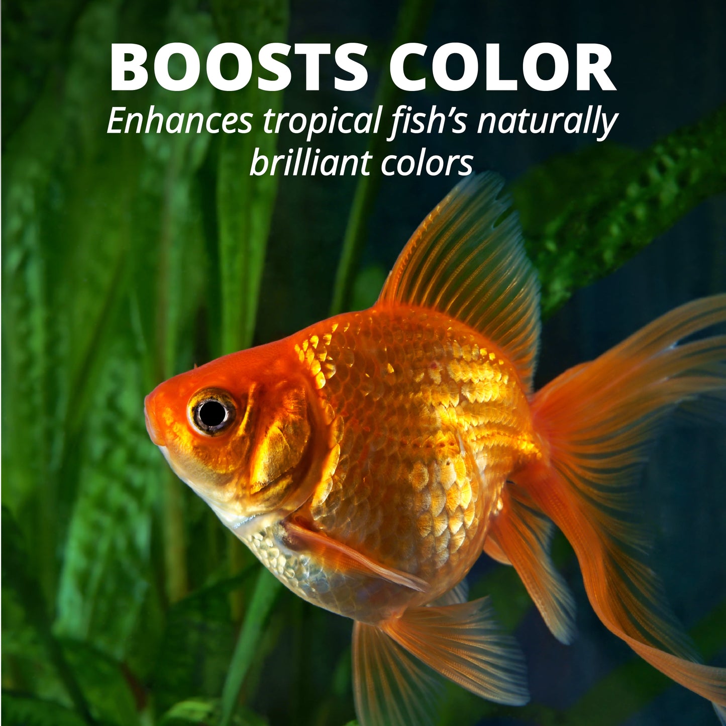 fin Goldfish Flakes, Balanced Diet Fish Food, 7.06 Oz.