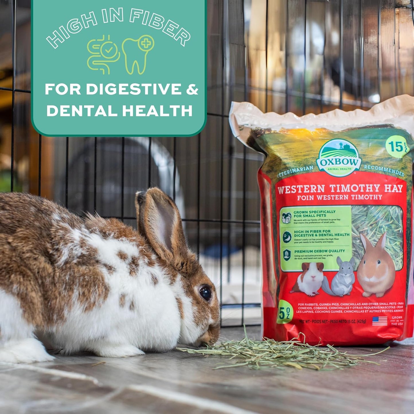 Western Timothy Hay, Guinea Pig Hay, Small Pet Bunny Supplies, All Natural Grass for Guinea Pig, Bunny, Chinchilla & Hamster,  Rabbit Supplies for Bunnies, 90 Oz. Bag