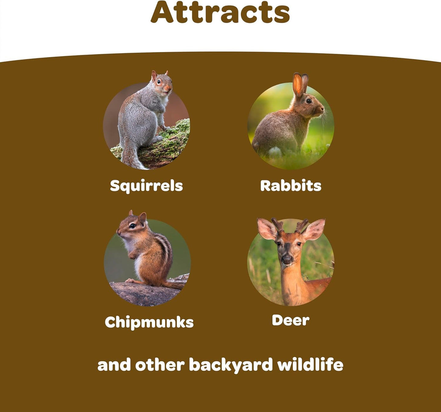 Backyard Wildlife Food Blend for Wild Squirrels, Chipmunks, Rabbits and Other Backyard Wildlife, 5 Pound