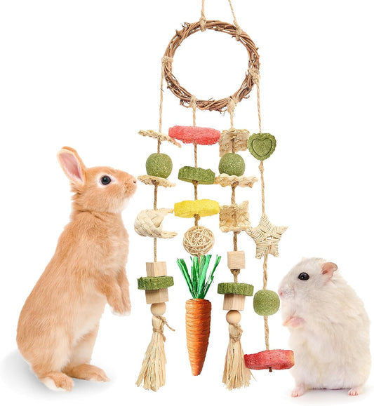 Rabbit Cage Hanging Chew Toy – Rattan Ring with Natural Snacks for Teeth & Enrichment