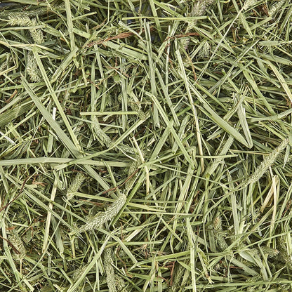 Timothy Hay, High Fiber, Grown Specifically for Small Animals, Rabbits, Guinea Pigs, Chinchillas, 48 Ounces