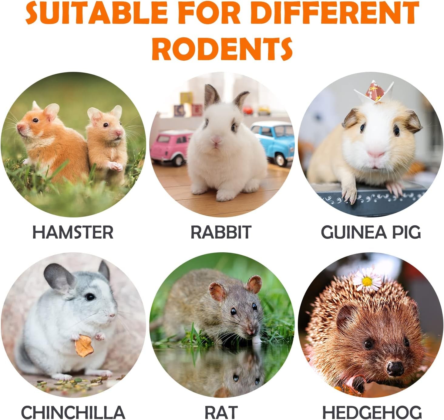 32Pcs Timothy Hay Sticks 320G for Rabbit, Guinea Pig, Hamster - Natural Handmade Treats and Chews for Teeth - Chinchilla, Rat, Gerbil Toys