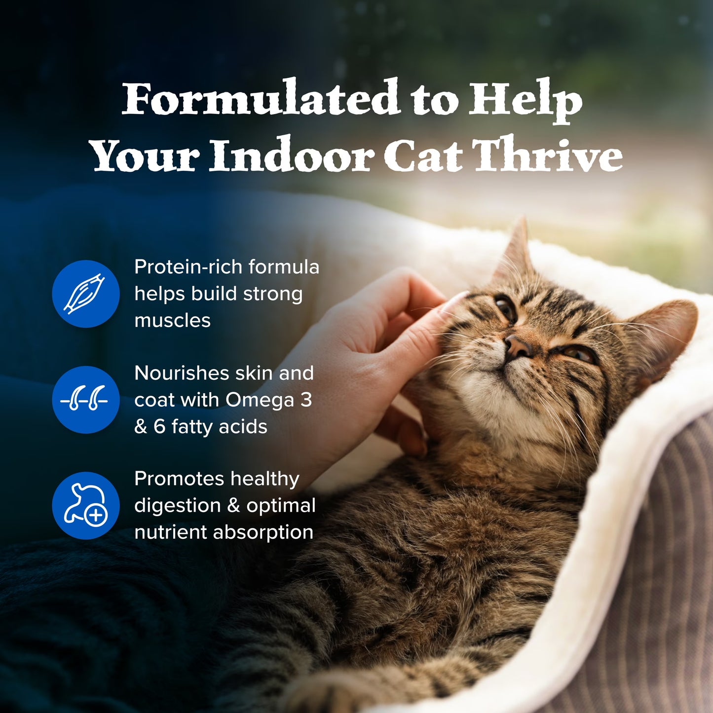 Wilderness Natural High-Protein, Grain-Free Dry Cat Food