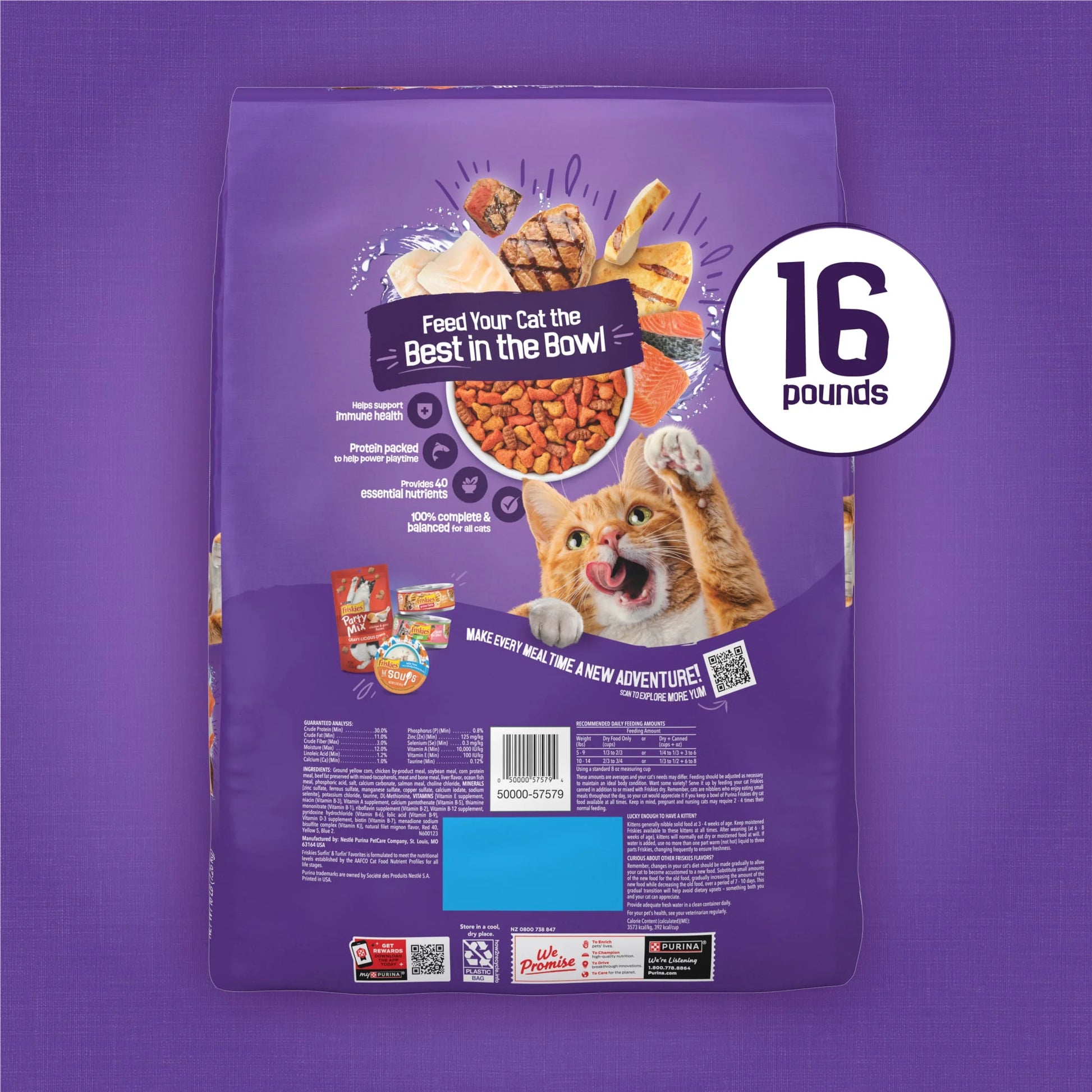 Purina Friskies Surfin and Turfin Favorites Dry Cat Food Flavors of Chicken, Whitefish, Salmon and Filet Mignon