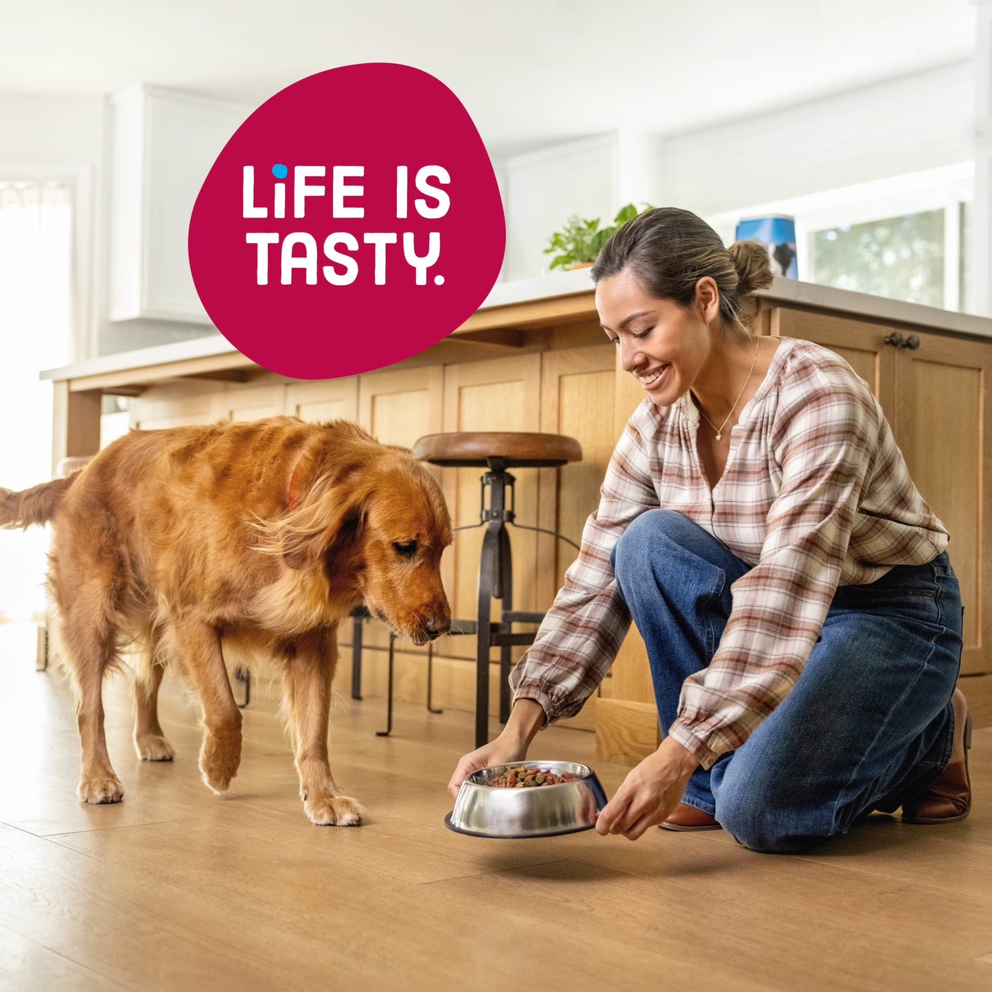 Kibbles 'N Bits Bistro Oven Roasted Beef, Vegetable & Apple Flavors Dry Dog Food
