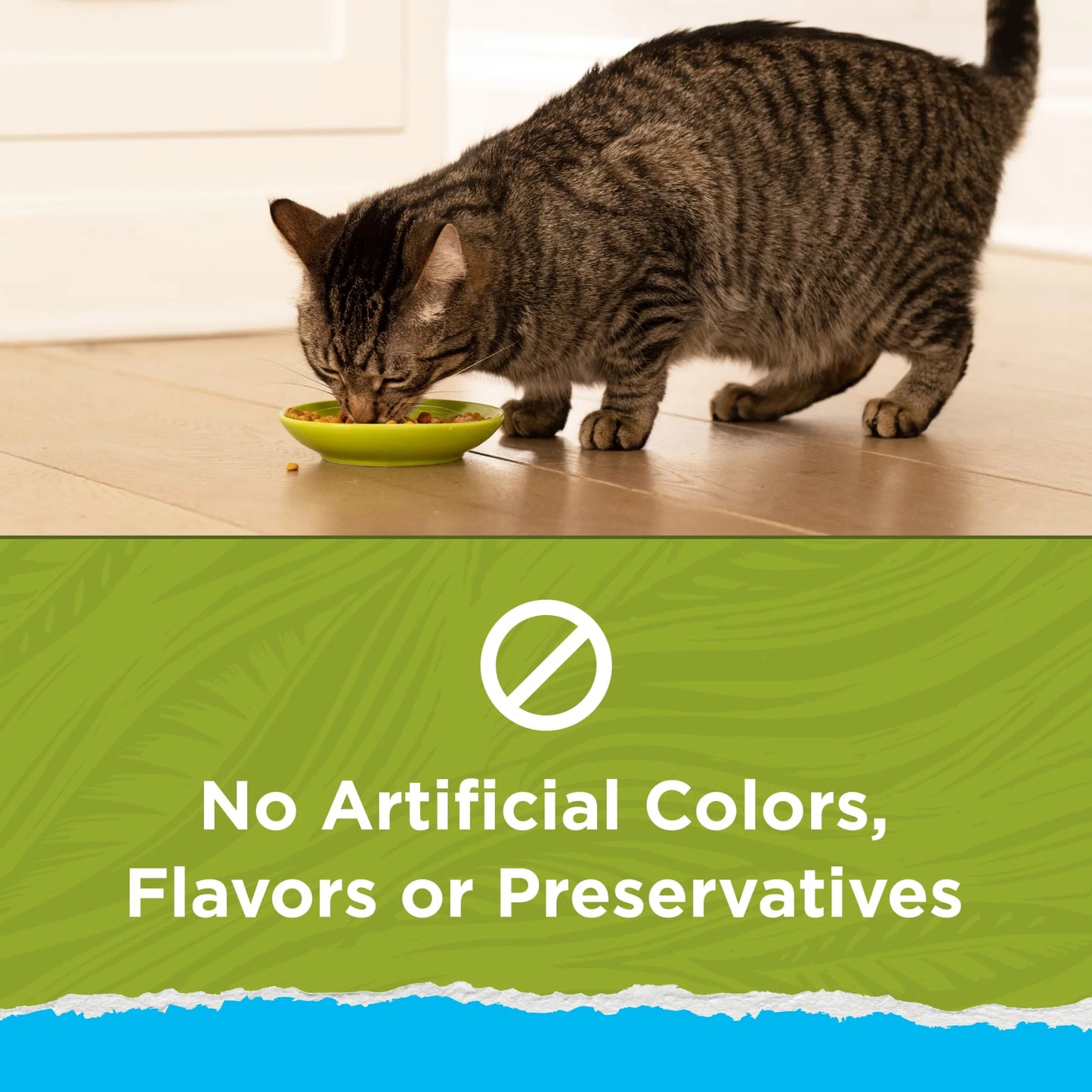 Purina  Naturals, Indoor Dry Cat Food, Chicken & Turkey