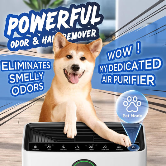 Air Purifiers for Home Large Room up to 2200Sq.Ft,  Air Purifier for Home Pets with Washable Filter, PM 2.5 Display Air Quality Sensor Air Cleaner for Bedroom, Dorm Room, Pets, Office PR1 (White)