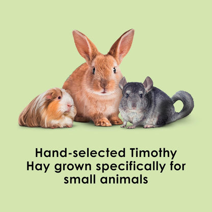 Timothy Hay, High Fiber, Grown Specifically for Small Animals, Rabbits, Guinea Pigs, Chinchillas, 48 Ounces