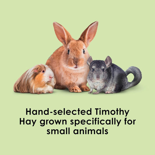 Timothy Hay, High Fiber, Grown Specifically for Small Animals, Rabbits, Guinea Pigs, Chinchillas, 48 Ounces