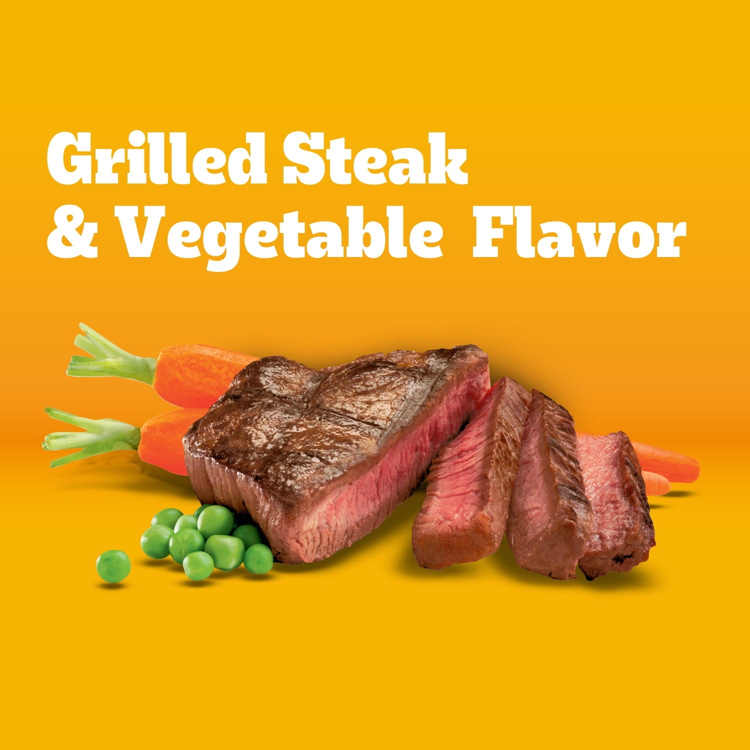 Complete Nutrition Adult Steak & Vegetable Flavor Dry Dog Food