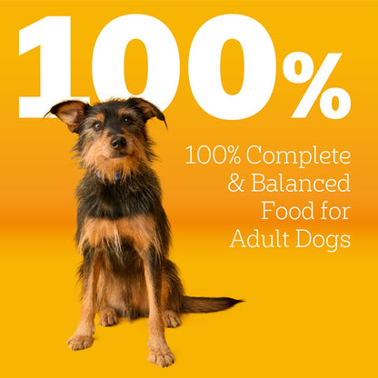 Complete Nutrition Adult Steak & Vegetable Flavor Dry Dog Food