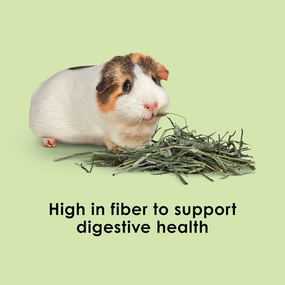 Timothy Hay, High Fiber, Grown Specifically for Small Animals, Rabbits, Guinea Pigs, Chinchillas, 48 Ounces