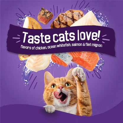 Purina Friskies Surfin and Turfin Favorites Dry Cat Food Flavors of Chicken, Whitefish, Salmon and Filet Mignon