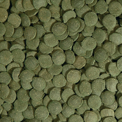Plecowafers, Nutritionally Balanced Fish Food for Algae Eaters, 3.03 Oz.
