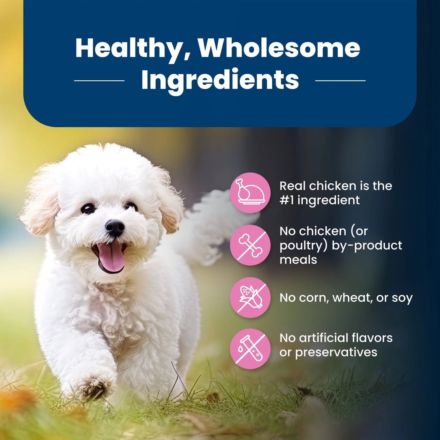 Life Protection Formula Small Breed Dry Dog Food Chicken & Brown Rice