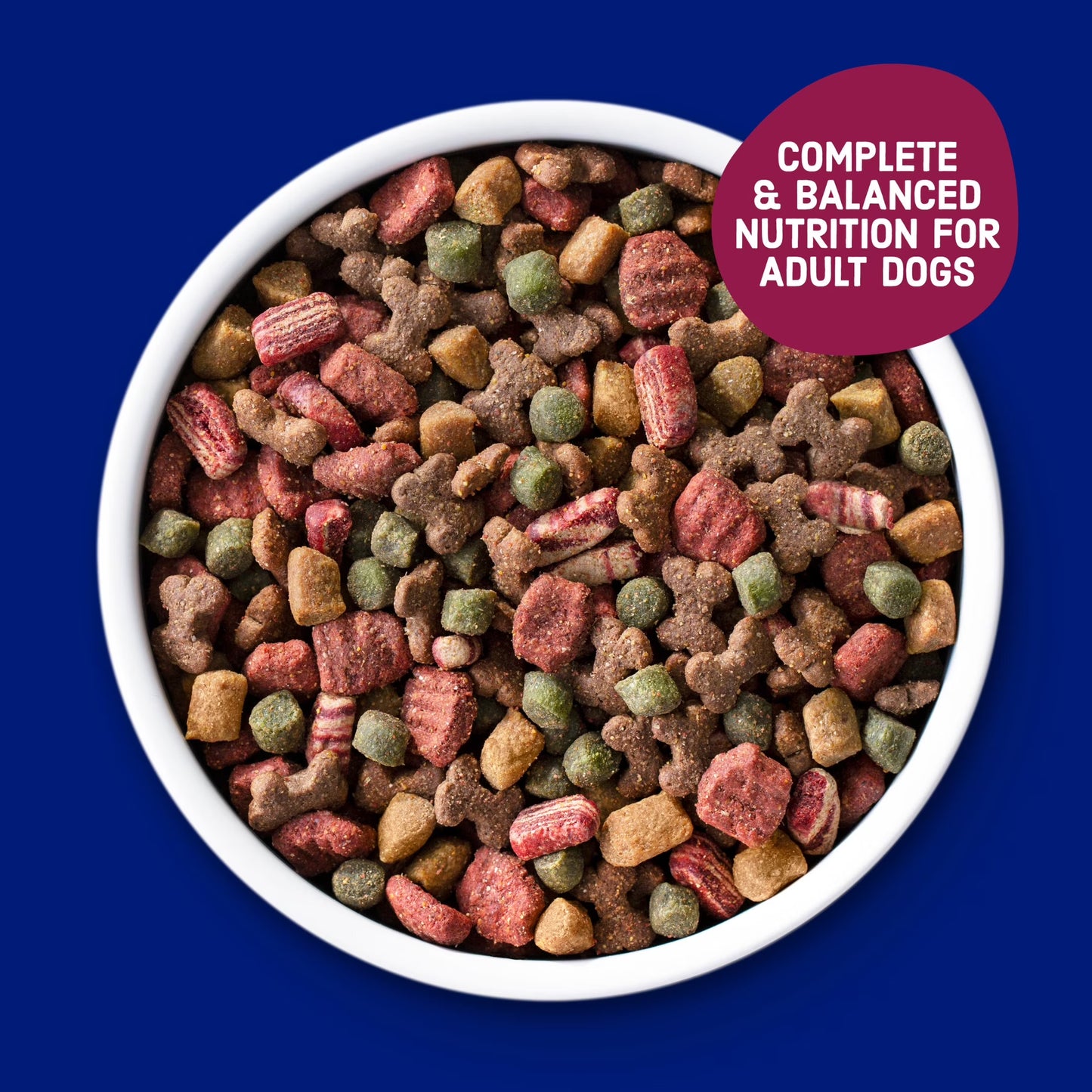 Kibbles 'N Bits Dry Dog Food for Adult Dogs, Savory Bacon & Steak Flavor
