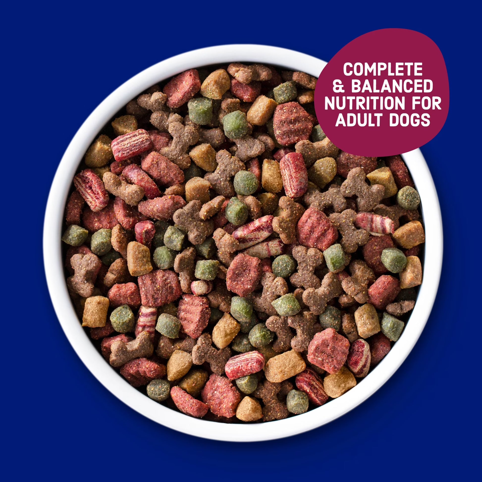 Kibbles 'N Bits Dry Dog Food for Adult Dogs, Savory Bacon & Steak Flavor