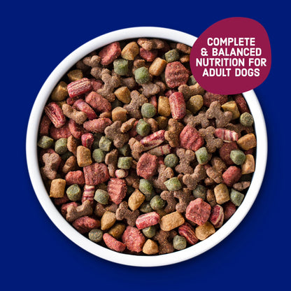 Kibbles 'N Bits Dry Dog Food for Adult Dogs, Savory Bacon & Steak Flavor