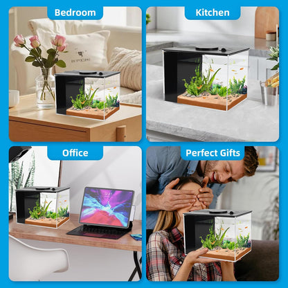 Fish Tank, 1 Gallon Betta Fish Tank, Small Aquarium Kit with LED Light and Water Filter Pump