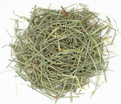 Orchard Grass Hay for Small Pets – All-Natural Long Strand Fiber Hay for Rabbits, Guinea Pigs, Chinchillas, and Hamsters – Supports Digestive Health and Enrichment – 40 Oz Bag