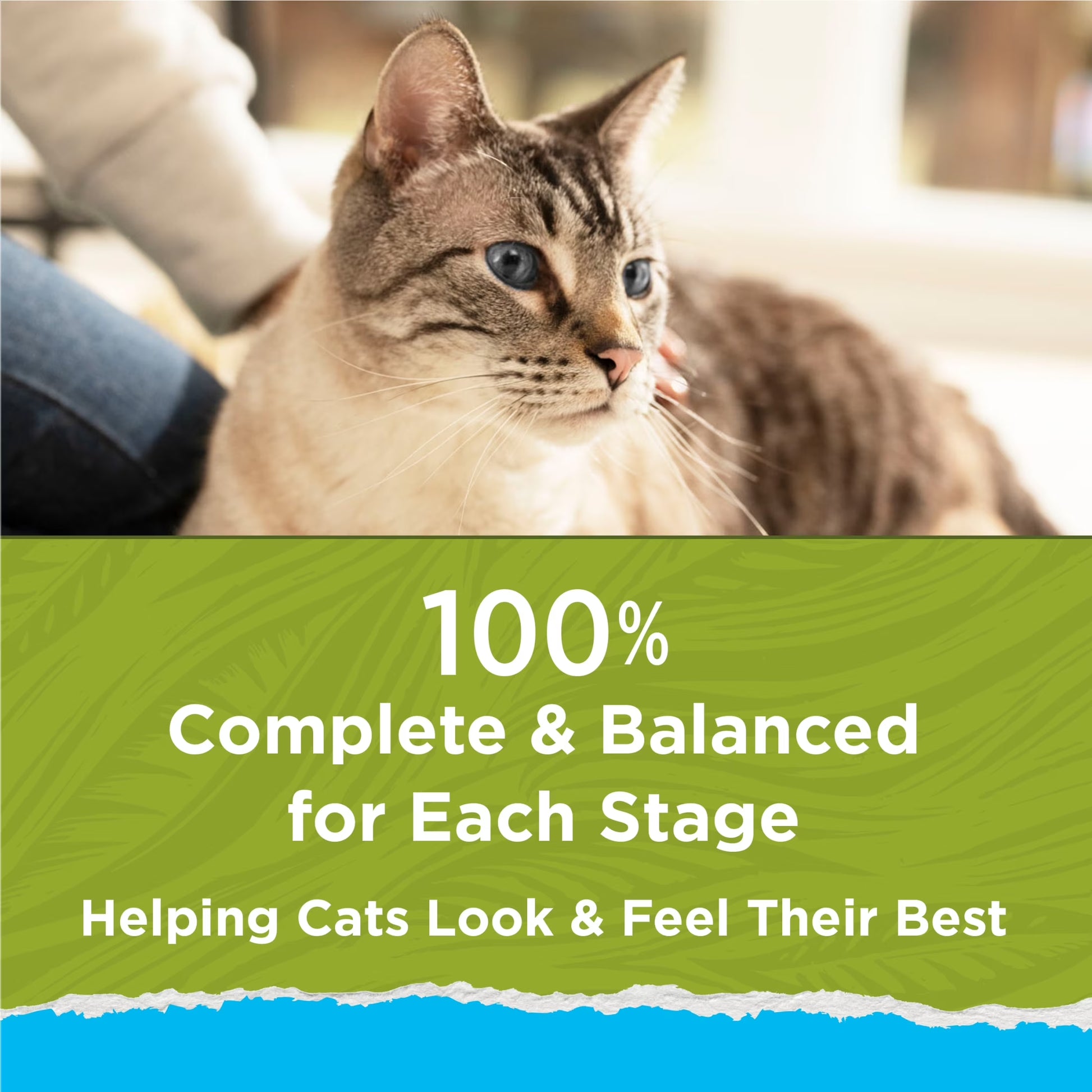 Purina  Naturals, Indoor Dry Cat Food, Chicken & Turkey