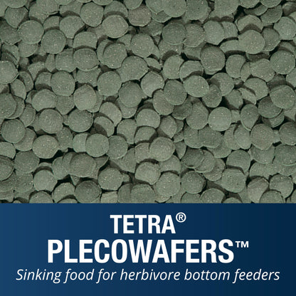 Pleco Wafers for Algae Eating Fish, Sinking Fish Food to Support Digestibility, 6.5 Oz