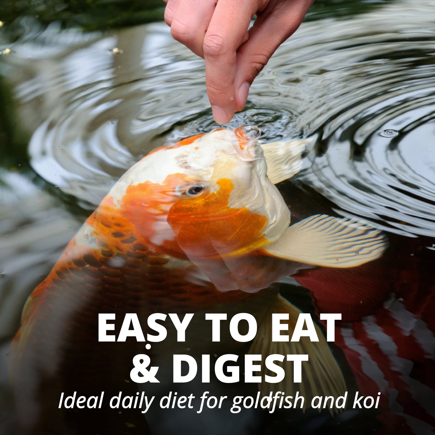 Pond Fish Food Premium Sticks Diet for Koi and Goldfish, 1.25 Lbs