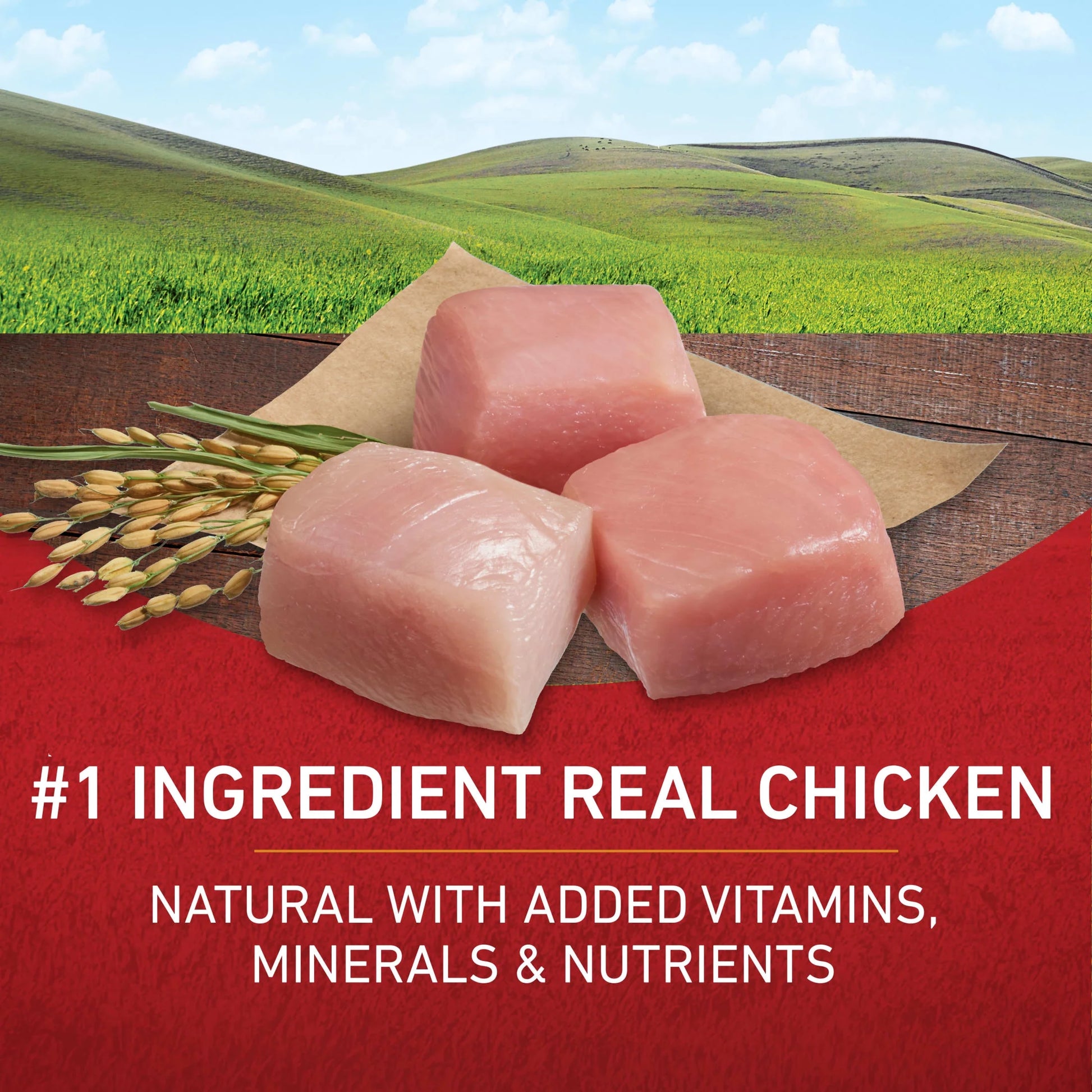 Dry Dog Food for Adult Dogs High Protein, Real Chicken & Rice