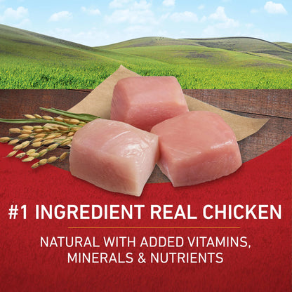 Dry Dog Food for Adult Dogs High Protein, Real Chicken & Rice