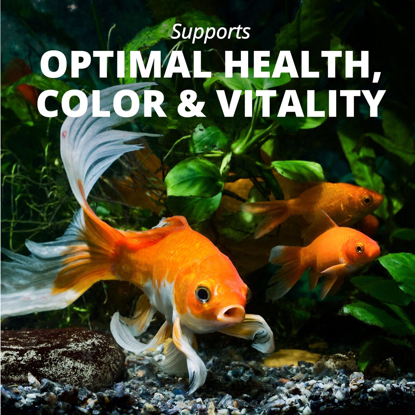 Goldfish Flakes, Balanced Diet Fish Food, Clear Water Formula, 1 Oz.