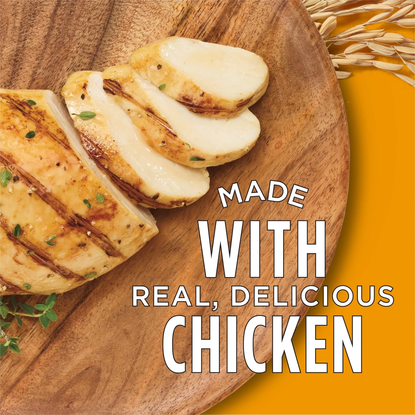 Purina  Complete High Protein Dry Cat Food with Real Chicken