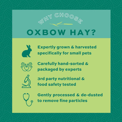 Orchard Grass Hay for Small Pets – All-Natural Long Strand Fiber Hay for Rabbits, Guinea Pigs, Chinchillas, and Hamsters – Supports Digestive Health and Enrichment – 40 Oz Bag