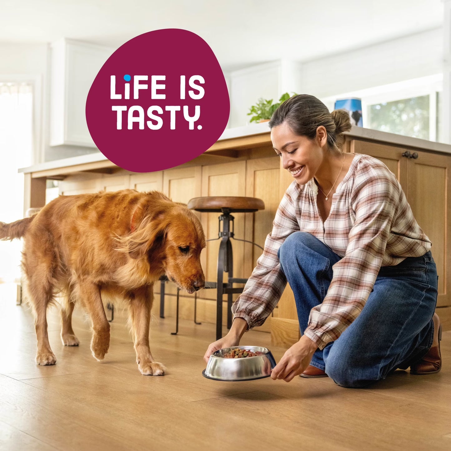 Kibbles 'N Bits Dry Dog Food for Adult Dogs, Savory Bacon & Steak Flavor