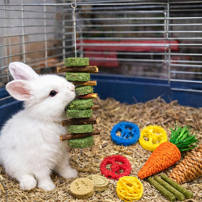 20 PCS Bunny Chew Toys for Teeth, Natural Rabbit Toys Apple Wood Grass Timothy Sticks Chew and Treat for Guinea Pigs Hamster Chinchillas